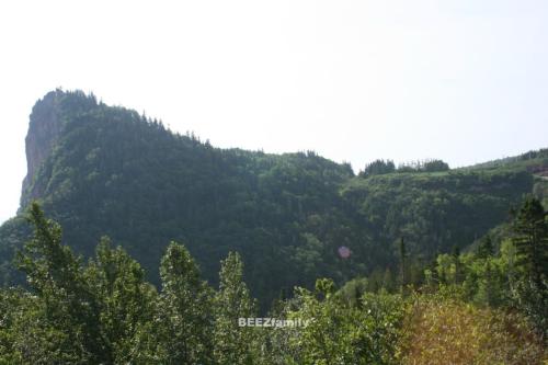 IMG_6482
